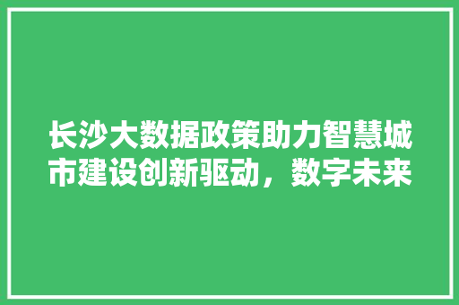 长沙大数据政策助力智慧城市建设创新驱动，数字未来