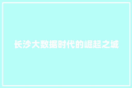 长沙大数据时代的崛起之城