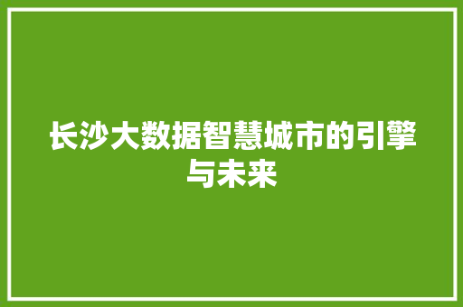 长沙大数据智慧城市的引擎与未来