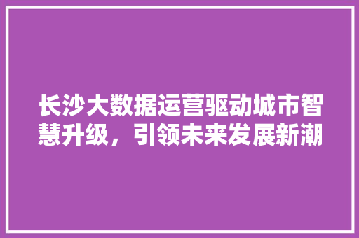长沙大数据运营驱动城市智慧升级，引领未来发展新潮流