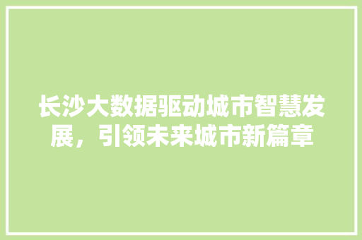 长沙大数据驱动城市智慧发展，引领未来城市新篇章