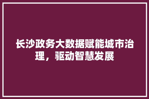 长沙政务大数据赋能城市治理，驱动智慧发展