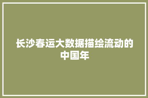 长沙春运大数据描绘流动的中国年