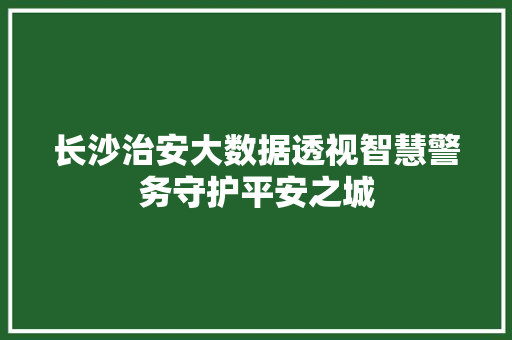 长沙治安大数据透视智慧警务守护平安之城