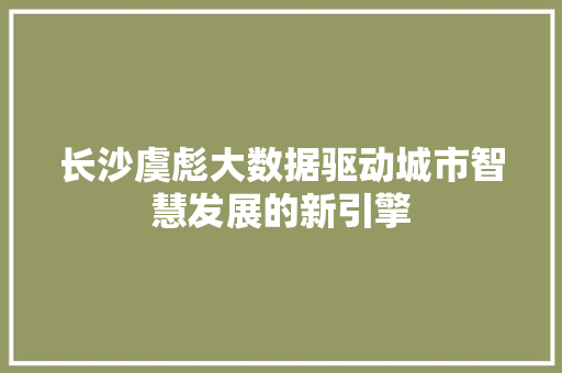 长沙虞彪大数据驱动城市智慧发展的新引擎
