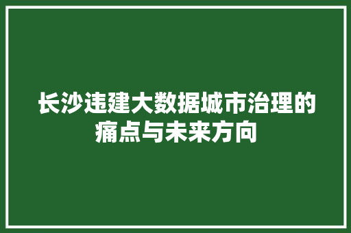 长沙违建大数据城市治理的痛点与未来方向