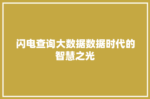 闪电查询大数据数据时代的智慧之光 友链在线