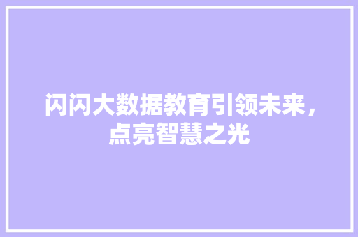 闪闪大数据教育引领未来，点亮智慧之光