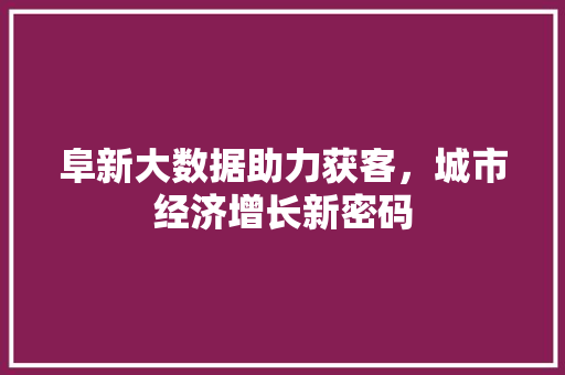 阜新大数据助力获客，城市经济增长新密码