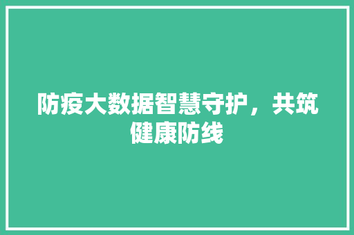防疫大数据智慧守护，共筑健康防线