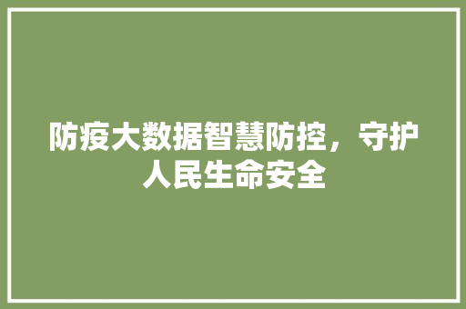 防疫大数据智慧防控，守护人民生命安全
