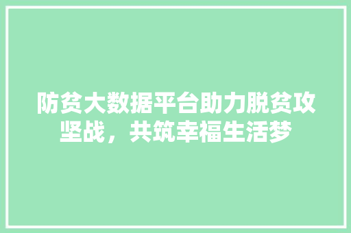 防贫大数据平台助力脱贫攻坚战，共筑幸福生活梦