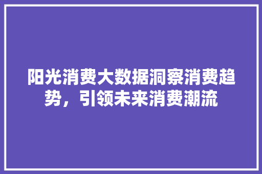 阳光消费大数据洞察消费趋势，引领未来消费潮流