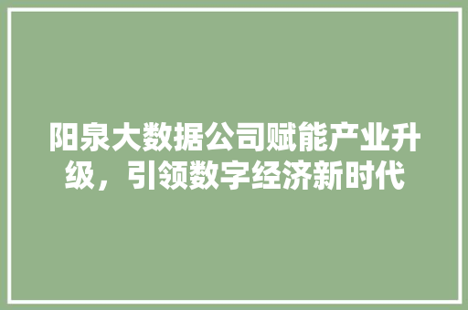 阳泉大数据公司赋能产业升级，引领数字经济新时代