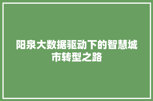 阳泉大数据驱动下的智慧城市转型之路