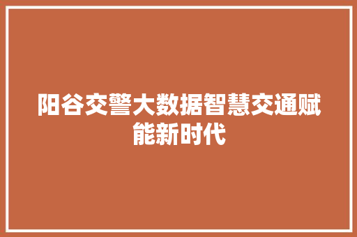 阳谷交警大数据智慧交通赋能新时代