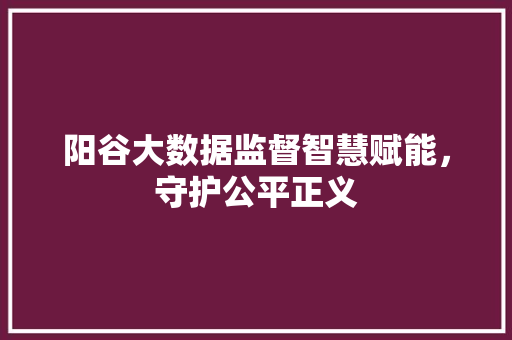 阳谷大数据监督智慧赋能，守护公平正义