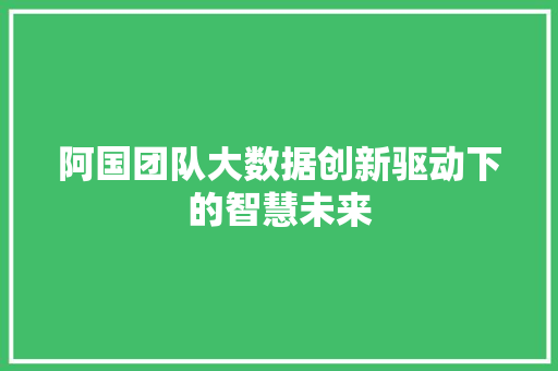 阿国团队大数据创新驱动下的智慧未来