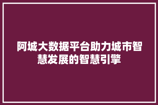 阿城大数据平台助力城市智慧发展的智慧引擎