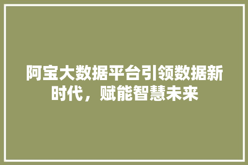 阿宝大数据平台引领数据新时代，赋能智慧未来