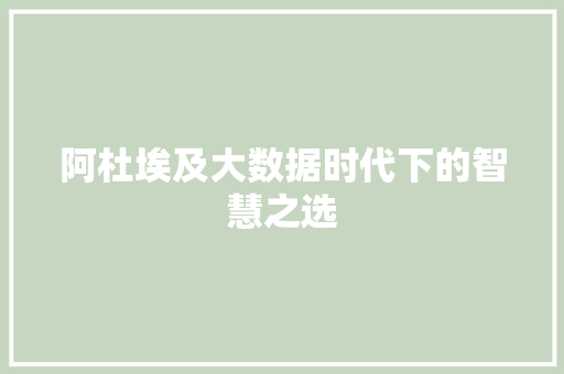 阿杜埃及大数据时代下的智慧之选