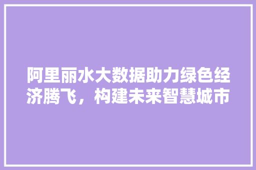阿里丽水大数据助力绿色经济腾飞，构建未来智慧城市新典范
