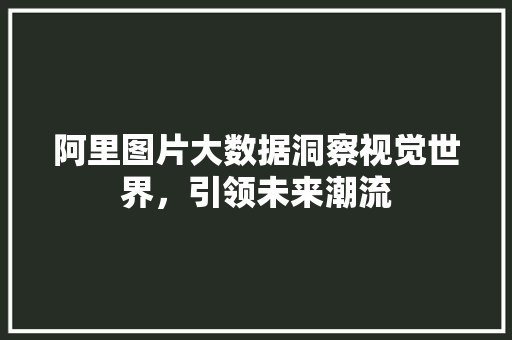 阿里图片大数据洞察视觉世界，引领未来潮流