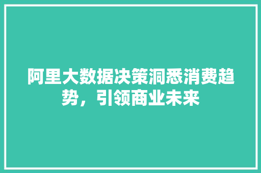 阿里大数据决策洞悉消费趋势，引领商业未来 SEO教程