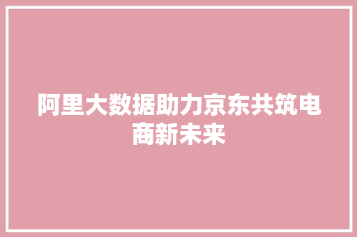 阿里大数据助力京东共筑电商新未来