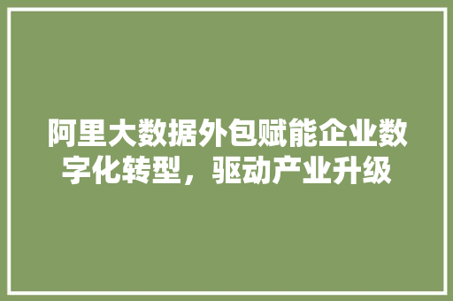 阿里大数据外包赋能企业数字化转型，驱动产业升级