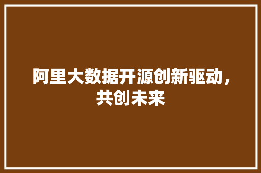 阿里大数据开源创新驱动，共创未来