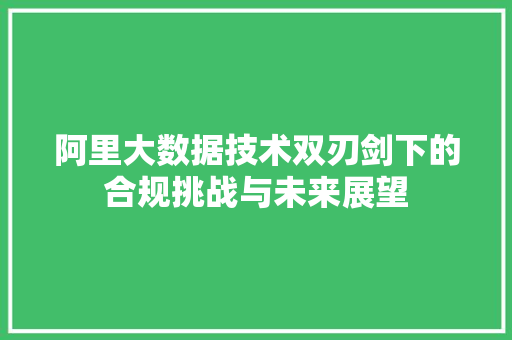 阿里大数据技术双刃剑下的合规挑战与未来展望