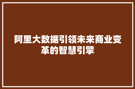 阿里大数据引领未来商业变革的智慧引擎