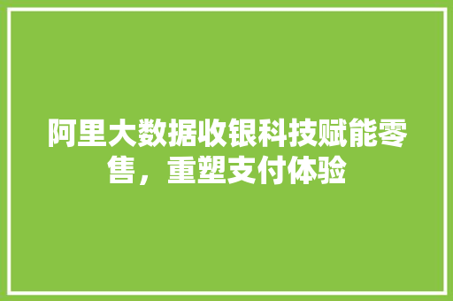 阿里大数据收银科技赋能零售，重塑支付体验 友链在线