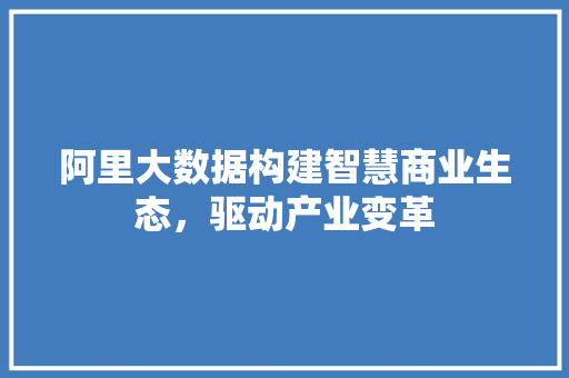 阿里大数据构建智慧商业生态，驱动产业变革 友链在线