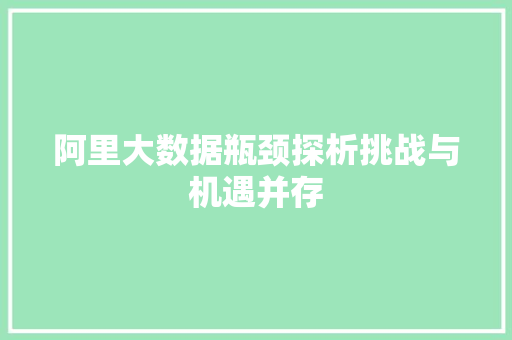 阿里大数据瓶颈探析挑战与机遇并存 友链在线