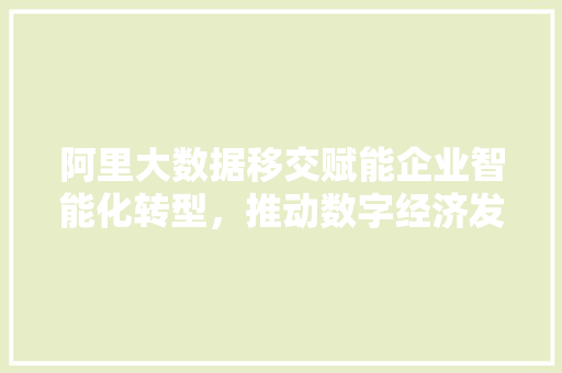 阿里大数据移交赋能企业智能化转型，推动数字经济发展新篇章