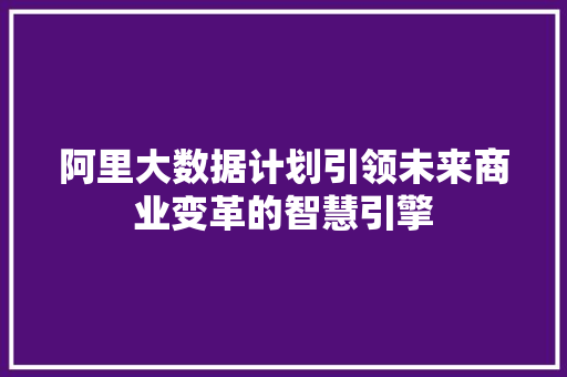 阿里大数据计划引领未来商业变革的智慧引擎