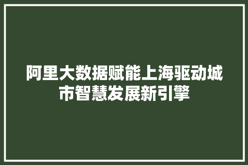阿里大数据赋能上海驱动城市智慧发展新引擎