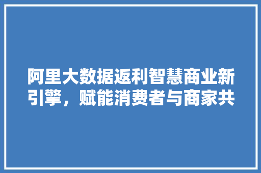 阿里大数据返利智慧商业新引擎，赋能消费者与商家共赢