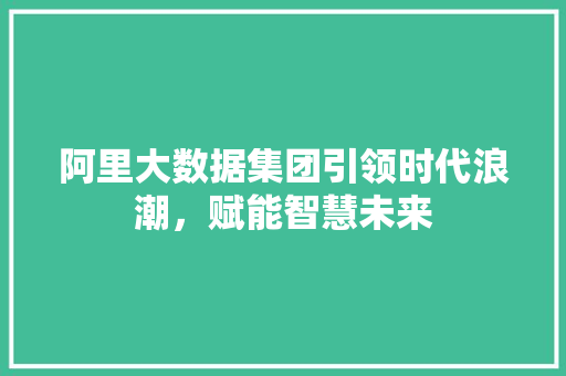 阿里大数据集团引领时代浪潮，赋能智慧未来