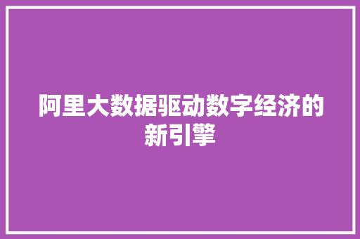 阿里大数据驱动数字经济的新引擎