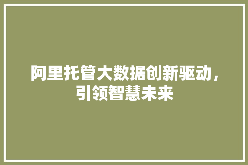 阿里托管大数据创新驱动，引领智慧未来