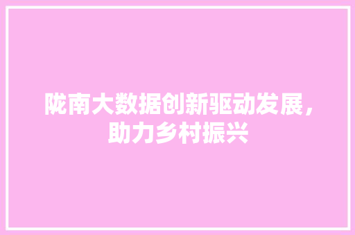 陇南大数据创新驱动发展，助力乡村振兴