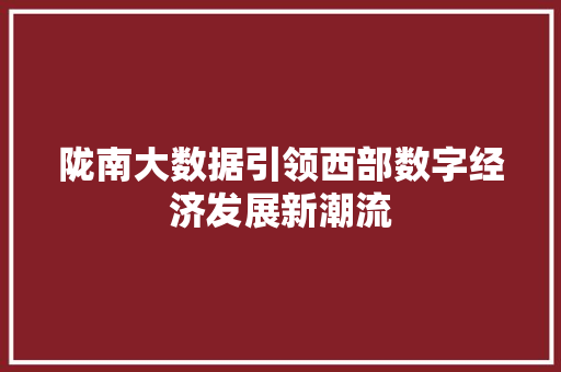 陇南大数据引领西部数字经济发展新潮流