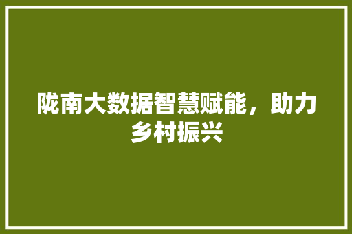 陇南大数据智慧赋能，助力乡村振兴