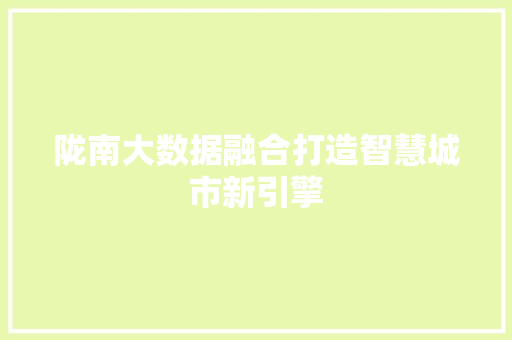 陇南大数据融合打造智慧城市新引擎