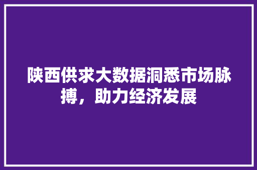 陕西供求大数据洞悉市场脉搏，助力经济发展