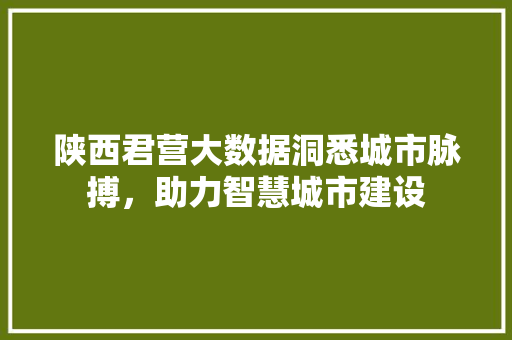 陕西君营大数据洞悉城市脉搏，助力智慧城市建设