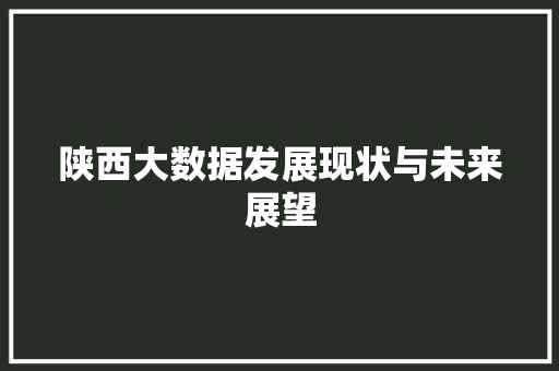 陕西大数据发展现状与未来展望